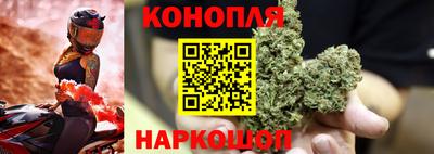 гидропоника Пыть-Ях