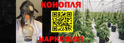 МДПВ Пугачёв