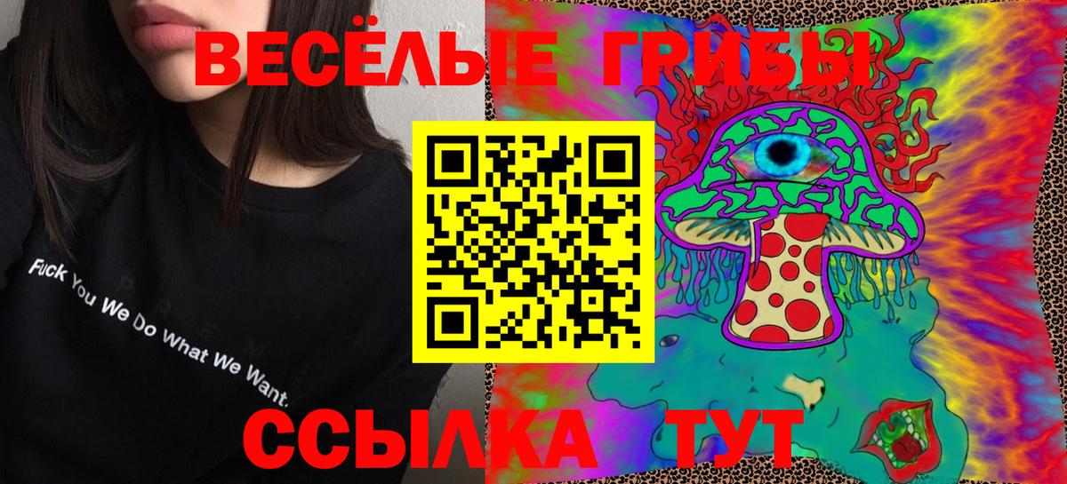 Псилоцибиновые грибы мухоморы  закладка  Галлюциногенные грибы Magic Shrooms  Светлоград  Вход с VPN 