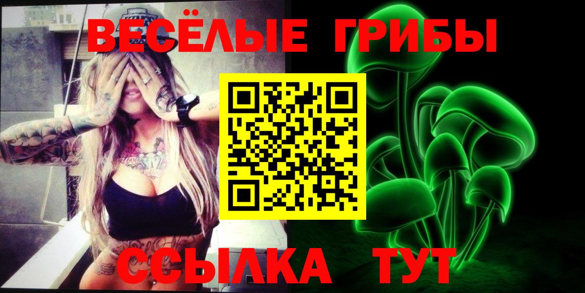 Канабис  Альфа ПВП СК   Вход с VPN  Светлоград  Гашиш  КОКАИН  Мефедрон кристаллы 